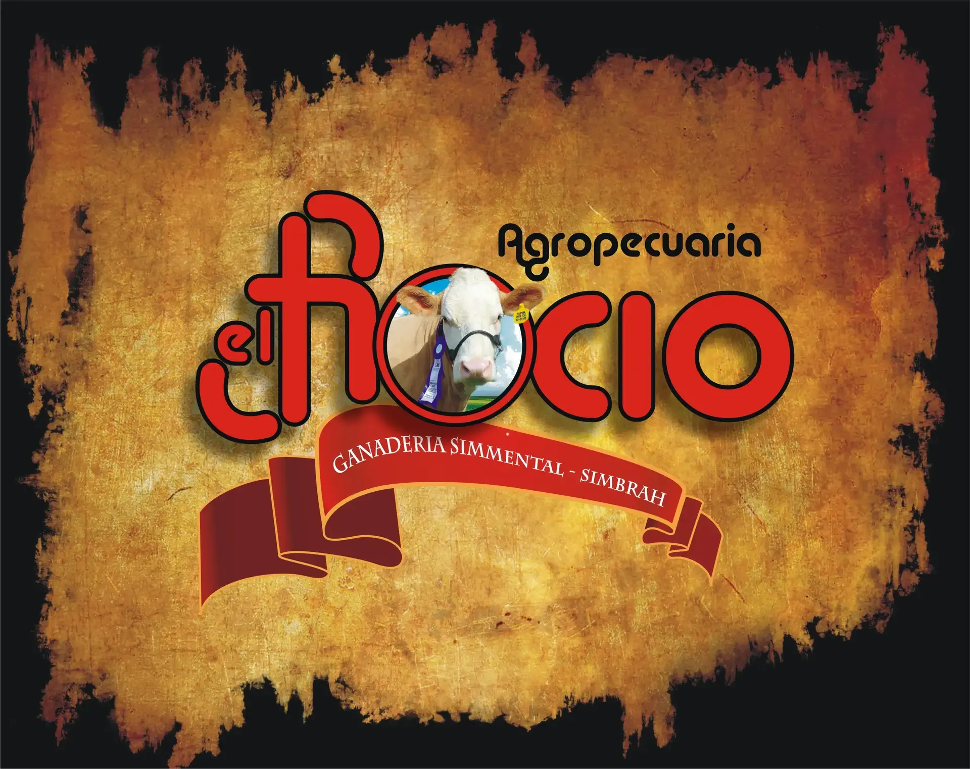 Sesión Corporativa