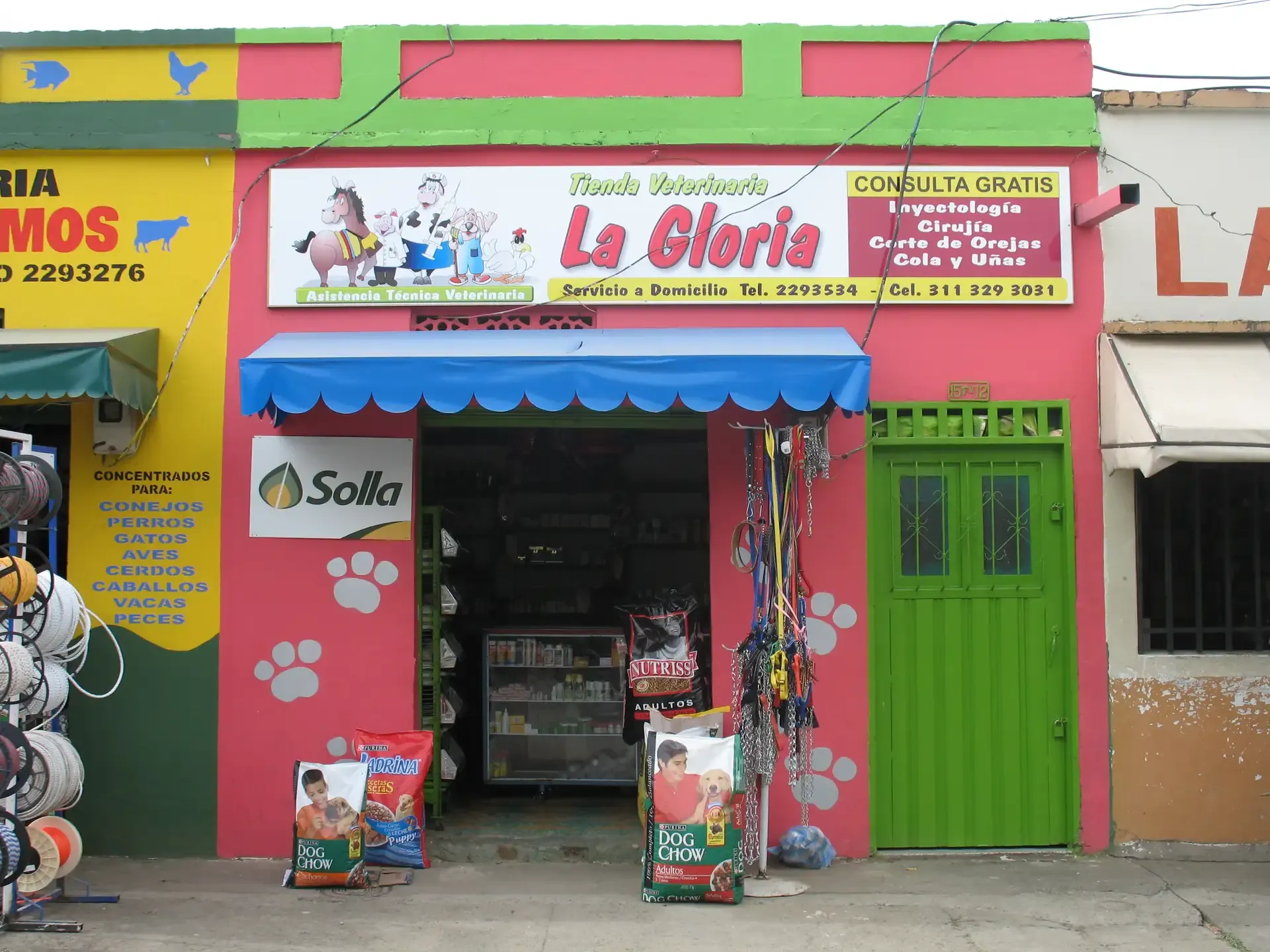 Decoración